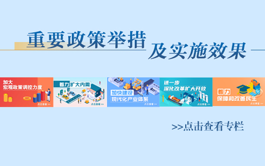重要政策舉措及實施效果